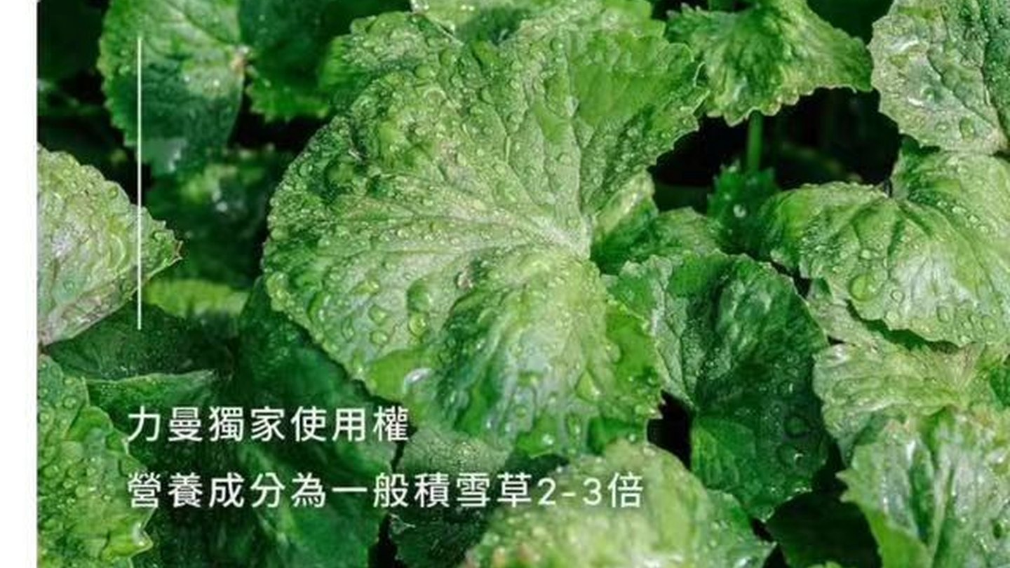 原料
